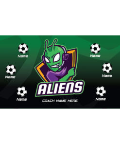 Aliens 1 AYSO custom soccer banner