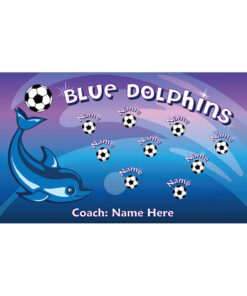 Dolphins AYSO soccer banner