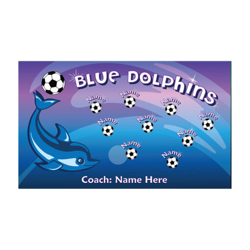 Dolphins AYSO soccer banner