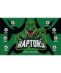 Raptors AYSO custom soccer banner