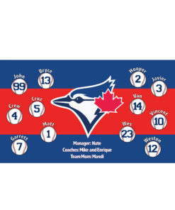 Toronto Blue Jays 2 Custom Little League Banner