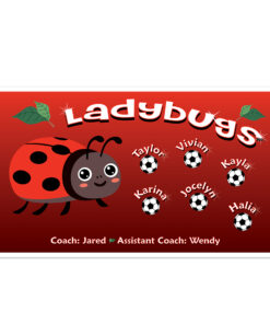 Ladybugs AYSO custom soccer banner