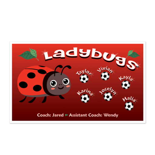 Ladybugs AYSO custom soccer banner