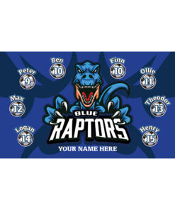 Raptors Blue AYSO custom soccer banner