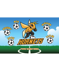 Super Hornets AYSO custom soccer banner