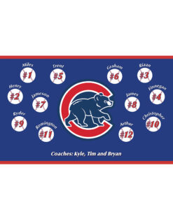 Cubs 1 Bear Custom Little League Baseball Team Banner