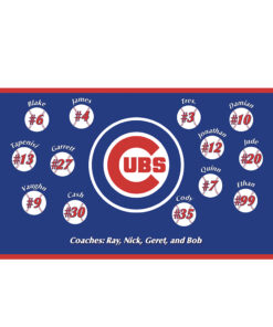 Cubs 2 Blue Custom Little League Baseball Team Banner