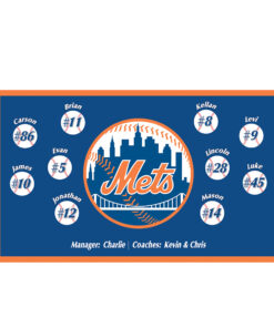 NY Mets Custom Team Banner for Little League Baseball