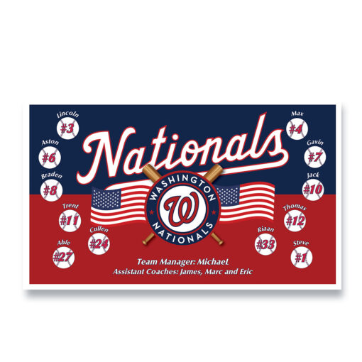 Nationals USA 1 Custom Team Banner for Little League Baseball