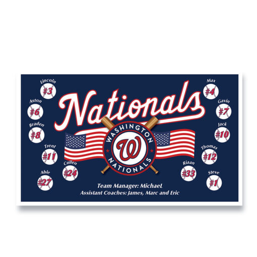 Nationals USA 2 Blue Custom Team Banner for Little League Baseball