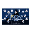 Tampa Bay Rays custom little league baseball banner