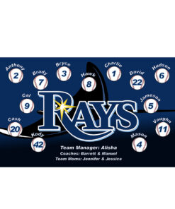 Tampa Bay Rays custom little league baseball banner