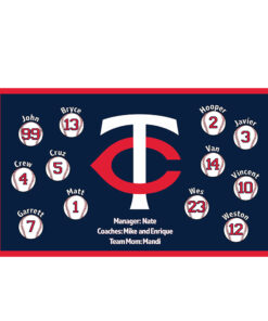 Minnesota Twins 1 custom little league baseball banner