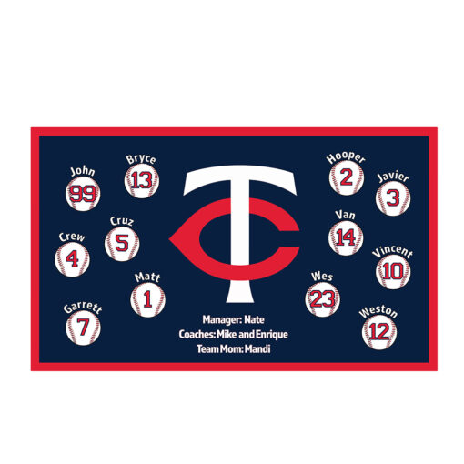 Minnesota Twins 1 custom little league baseball banner