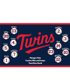 Minnesota Twins 2 custom little league baseball banner