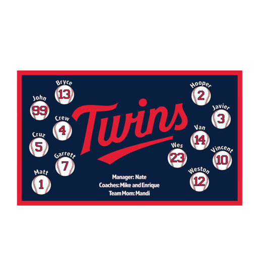 Minnesota Twins 2 custom little league baseball banner